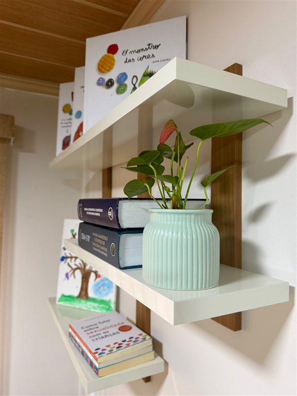 Prateleiras com livros, desenho e uma planta em vaso verde